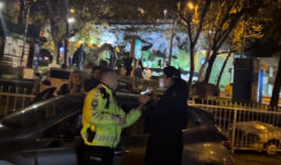 Bursa’da alkollü çıkan kadın, polislere hakaret etti