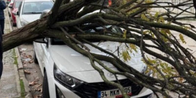 Bursa’da park halindeki araçların üzerine ağaç devrildi