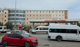 Diyarbakır’da damat katliamı