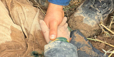 Hatay’da 10 yaşındaki kayıp çocuk yaralı halde bulundu: Dayı gözaltında