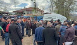Samsun’da komşusuna ağaç kesiminde yardım ederken hayatını kaybetti
