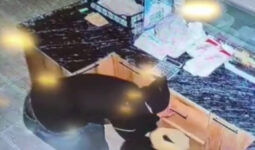 Adıyaman’da sadaka kutusu ve nakit para çalan şahıslar kameraya yakalandı